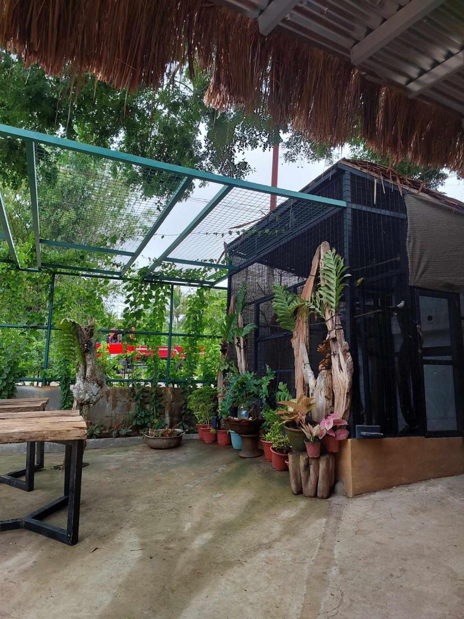 Vikings Ecolodge Σαν Χουάν Εξωτερικό φωτογραφία